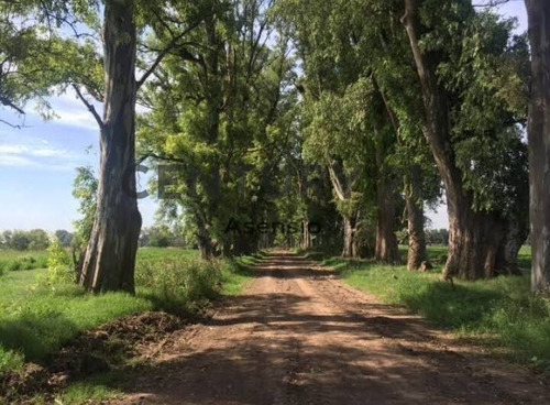Imagen 4 de 30 de Lote Venta General Rodriguez Barrio Cerrado Villa De Campo 3 Pinos