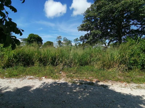 Imagen 4 de 4 de Terreno En Venta Las Rosas