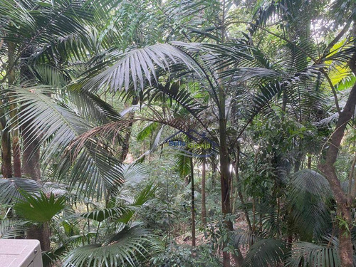 Imagem 10 de 30 de Granjaviana - Forest Hills - Ca2984
