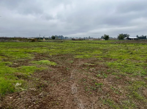 Venta/terreno/teno/quelmén