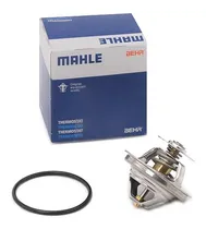 Comprar Termostato Bmw E12 520 M20