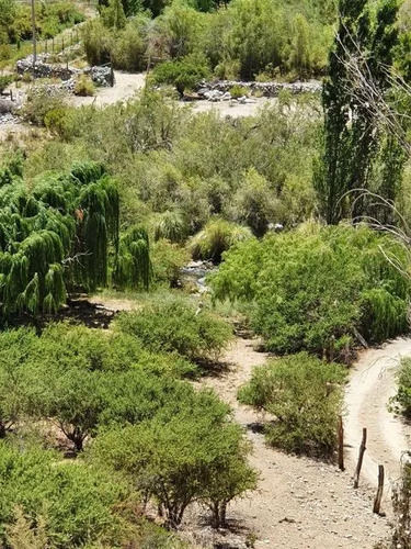 Alcohuaz Valle Elqui Borde Rio 1.9 Ha (121502)