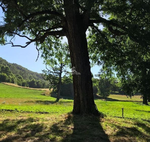 Imagen 16 de 29 de Agrícola 122 Ha. Con Rio Y Bosque Nativo En Venta Collipulli