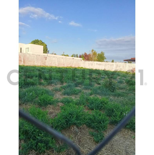 Terreno En Venta, A Cuadras Mall Vivo