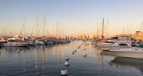 Imagen 30 de 30 de Apartamento Estudio Zona Puerto De Punta Del Este - Punta Del Este Peninsula