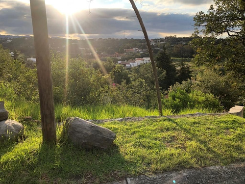 Imagen 3 de 6 de Terreno Venta En Condado De Sayavedra