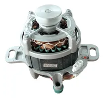 Comprar Motor Elétrico De Máquinas De Lavar Automático Electrolux Lac09, Lt08e, Lt09b, Ltd09, Lte08 352w 220v 60