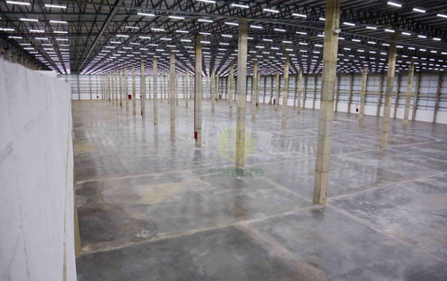 Imagem 12 de 26 de Galpão Para Alugar, 6297 M² Por R$ 170.030,00/mês - Santa Maria - Santa Maria/df - Ga0910