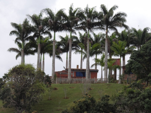 Casa Tipo Finca Urbana