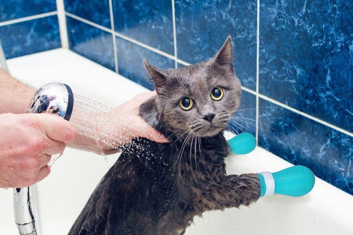 Guantes De Baño Resistentes A Los Arañazos Para Gatos, 4 Pie