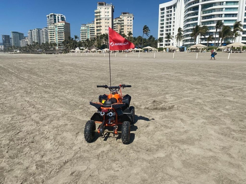 Imagen 5 de 7 de Mini Cuatrimoto Infantil Disponibles