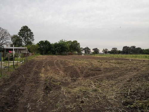 Imagen 6 de 10 de Rincon De Nogoya - Terreno Sobre Ruta De 2.000 M2