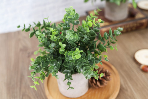 Paquete De 3 Mini Plantas Artificiales En Macetas Eucalipto Verde