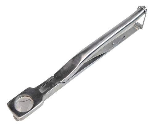 Pinza Señalador Borde De Oreja Para Bovino / Ovino / Cerdos