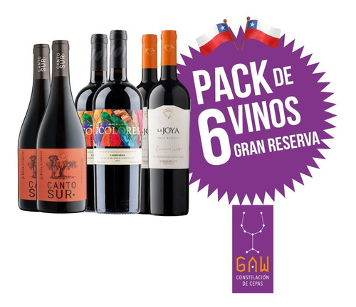 6 Vinos Mix Gran Reserva Tintos (despacho Gratis Santiago)