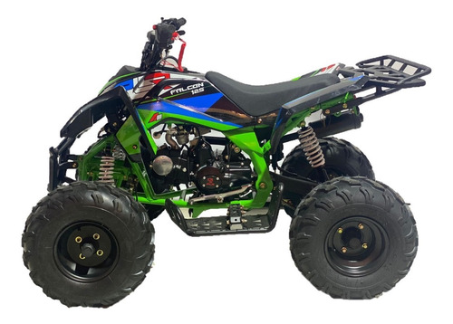 Imagen 11 de 14 de Cuatrimoto Moto Plr 125cc Raptor Motor 4t