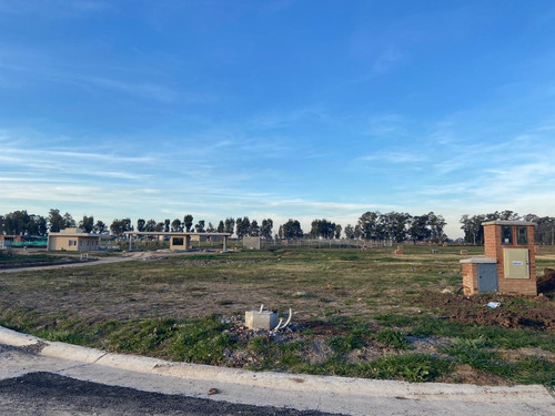 Imagen 5 de 10 de Venta Lote Pilar Del Este Santa Elisa L