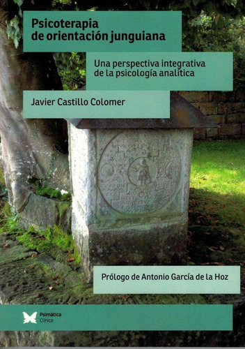 Libro: Psicoterapia De Orientación Junguiana. Castillo Colom