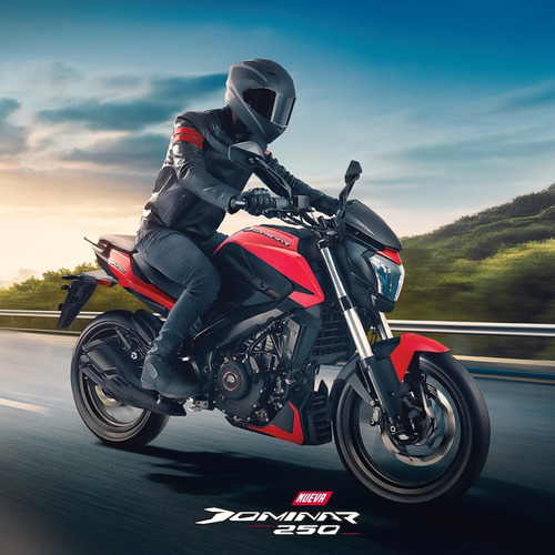Imagen 10 de 19 de Bajaj Dominar 250 Abs 0km Naked Fi Nuevo Modelo Chakan
