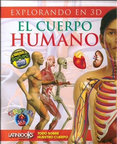 Cuerpo Humano 3d El