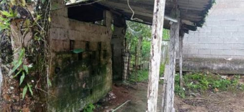 Imagem 23 de 25 de Chácara Com 50.000 M² De Área Total E Com Horta, Lago, Riacho, Pomar E Cozinha Caipira, No Bairro Gaivota, Em Itanhaém Ref: 9242/ac