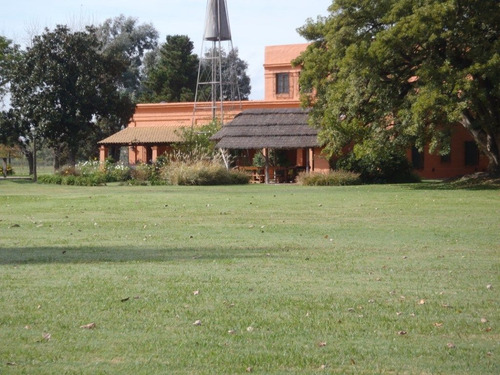 Imagen 2 de 16 de Campo En Alquiler En San Antonio De Areco