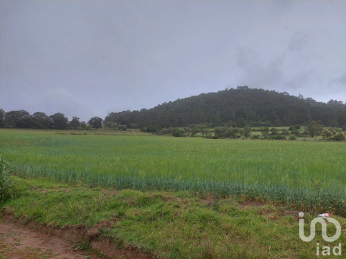 Venta Terreno 0 Ambiente Tecocomulco De Juárez