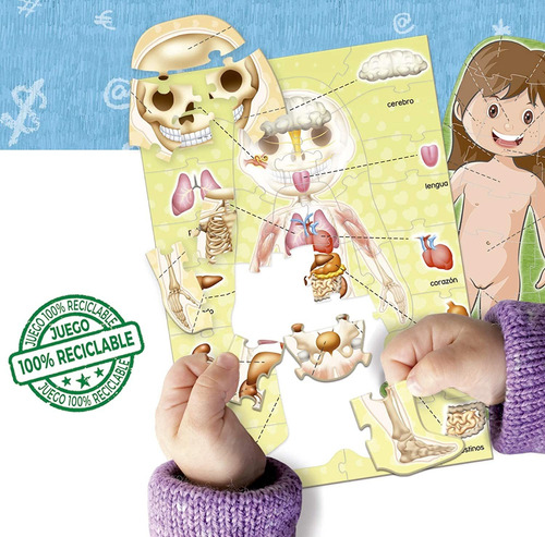 Imagen 3 de 10 de Puzzle Aprender El Cuerpo Humano Rompecabezas Educa Atrix ®