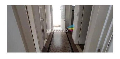 Imagen 2 de 10 de Hermoso Apto. 2 Dorm,patio.buceo!!