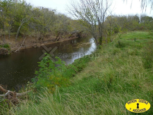 Imagen 2 de 8 de 3.3 Ha Sobre Rio Lujan - Luján - Luján