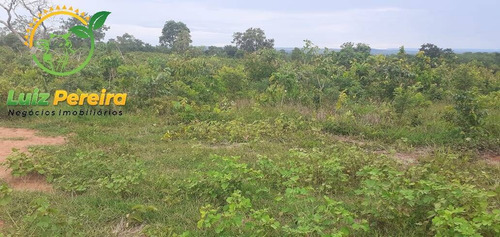Imagem 2 de 13 de Fazenda À Venda Em Peixe - To - De 2.260 Hectares (dupla Aptidão) - 1856