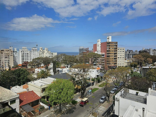 Arenas De Velsen Venta Malvin Monoambiente A Estrenar