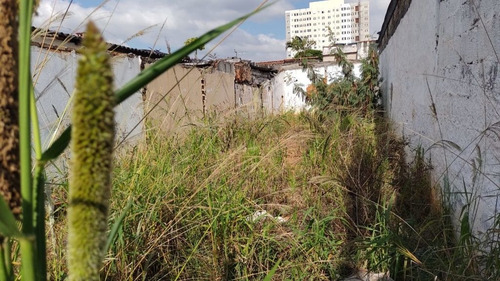 Imagem 3 de 10 de Terreno Para Venda No Bairro Vila Barros Em Guarulhos - Cod: Ai25148 - Ai25148