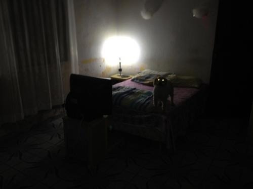 Imagem 6 de 14 de Casa No Litoral, Com 4 Quartos Em Itanhaém/sp 2267-pc