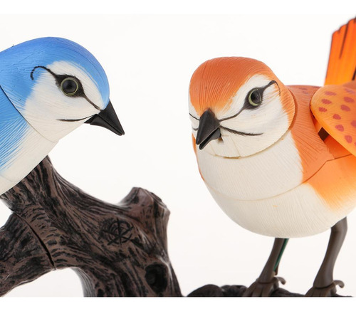 A Controle Pássaros Cantores, Animais De Estimação