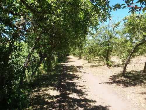Parcela En Venta En Los Angeles