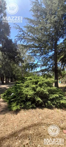 Imagen 5 de 15 de Terreno - Canning (ezeiza)