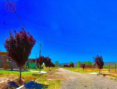 Imagen 5 de 11 de Greenwood Vende Ultimos 11 Lotes En Barrio Terra Bei Perdriel