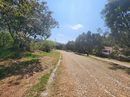 Venta De Lote San Diego 8 Sobre Boulevard Muy Cerca De Las Amenidades Y Del Hotel Del Fracc Rancho San Diego Ixtapan De La Sal Edomex. Se Incluye Proyecto
