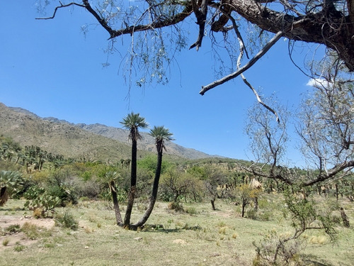 23 Hectáreas, Excelente Ubicación, Insuperable Vista