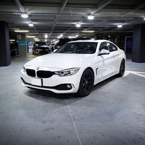 BMW Serie 4 2.0 420ia Coupe At