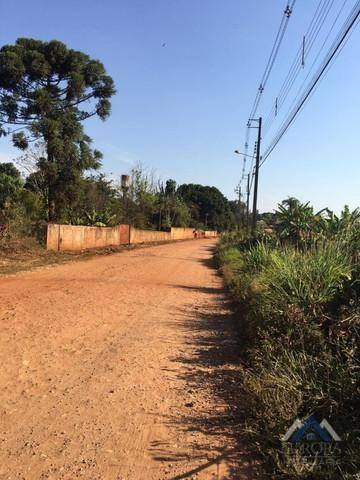 Imagem 1 de 9 de Chácara À Venda, 3000 M² Por R$ 310.000,00 - Indusville - Londrina/pr - Ch0126
