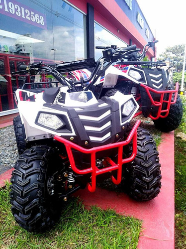 Cuatrimoto Polar 110 Motor 4t