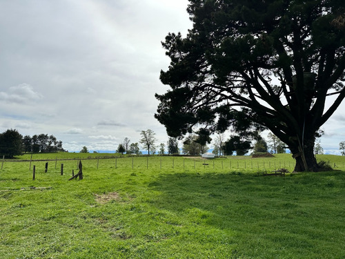 Aurora Ai Vende Hermoso Terreno De 20.000 M2 En Lago Ranco