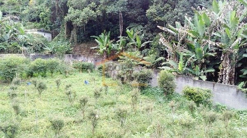Imagem 7 de 15 de Chacara, Venda, Horto Florestal, Sao Paulo - 10725 - V-10725