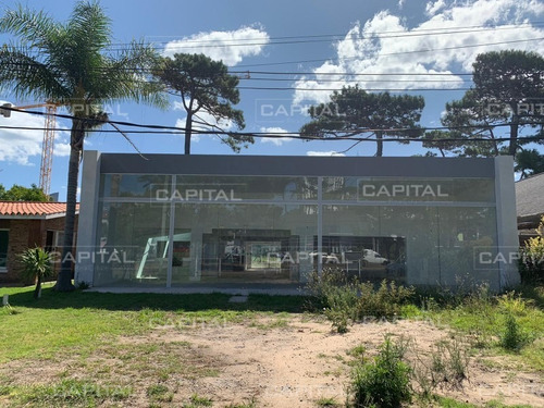 Local En Venta - Punta Del Este- Ref: 29026
