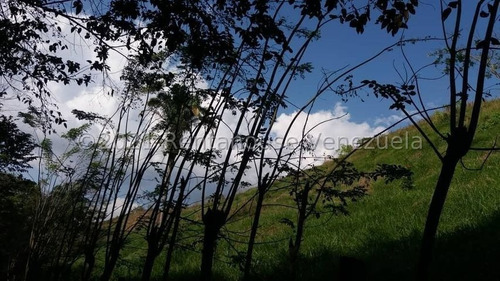 Imagen 8 de 15 de Finca En Venta Tinaquillo Cojedes Gav