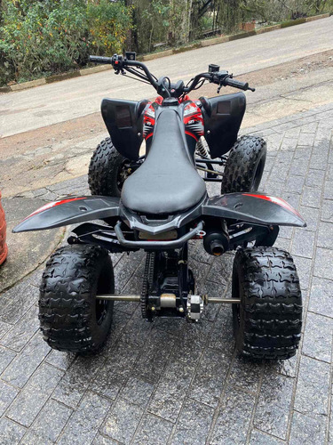 Imagem 6 de 8 de Quadriciclo Buggy&cia Raptor 125 Ano 2015