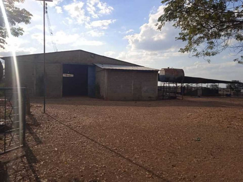 Imagen 12 de 14 de Finca 303 Hectáreas En Guárico, Vía Santa Rita.