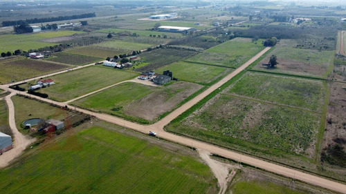 Terreno Logístico Industrial De 3.600 M2 Próximo A Ruta 5 Y Ruta 102